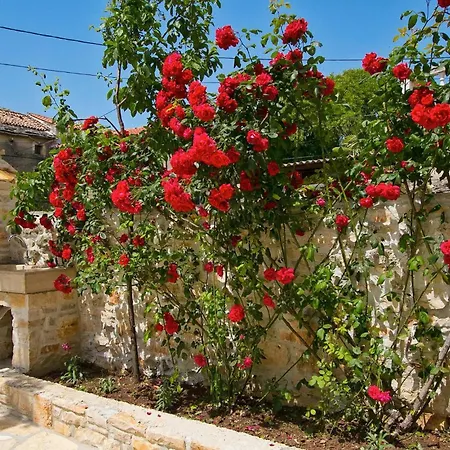 Soricevi Dvori Holiday home