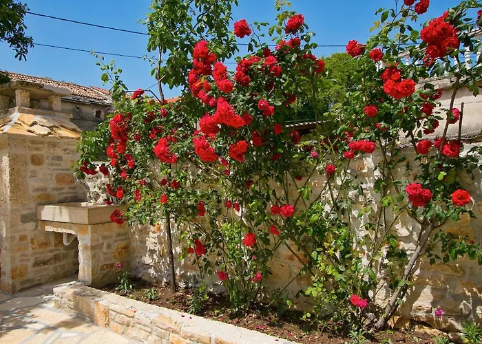 Soricevi Dvori Σπίτι διακοπών